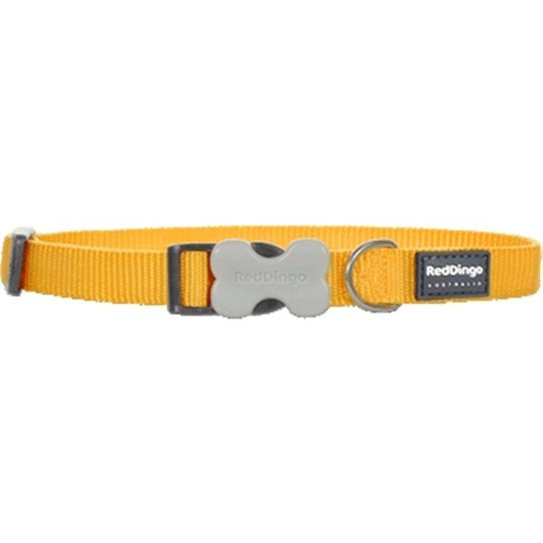 Red Dingo Dog Collar Classic Yellow, Small RE437134